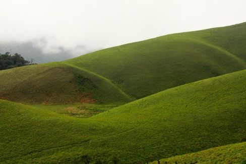 Grass Hills, Valparai